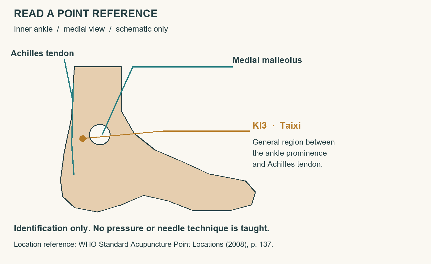 Inner ankle reference with KI3 shown between medial malleolus and Achilles tendon