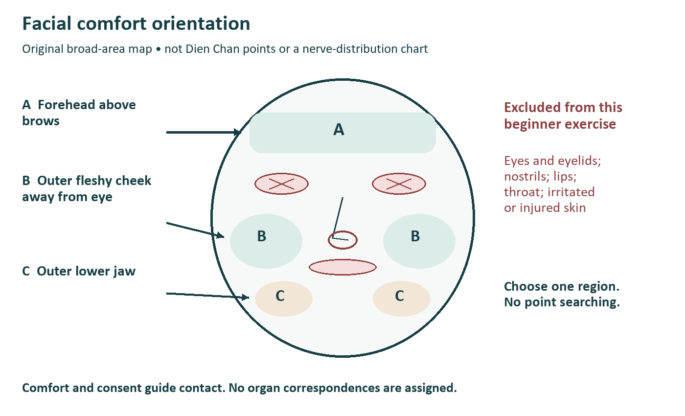 Three broad facial comfort regions with eyes, nostrils, mouth and neck excluded from beginner contact