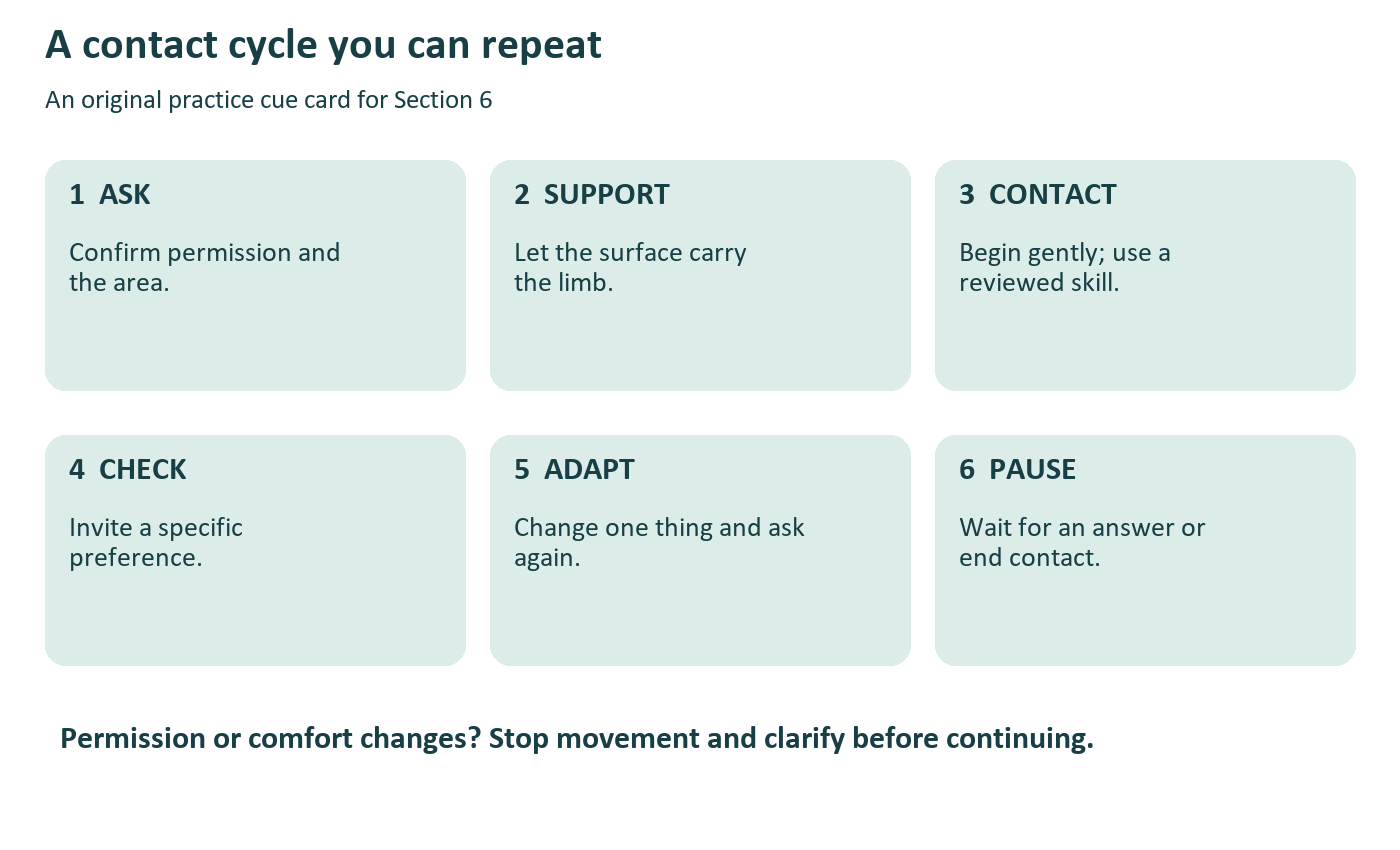 Six steps in a contact cycle: ask, support, contact, check, adapt, pause. Stop when permission or comfort changes.